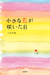 小さな花が咲いた日